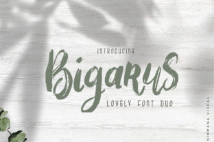 Bigarus Handwritten Font Review