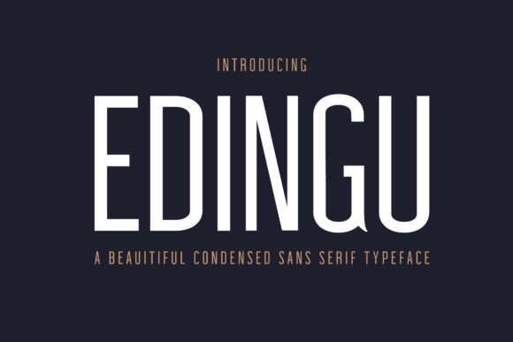 Edingu Family: Minimal Rounded Sans Serif for Modern Web Design