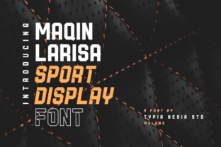Maqin Larisa Typeface: Elevate Your Brand Identity