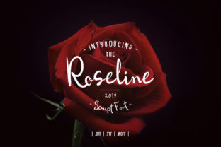 Roseline Script: The Organic Handwritten Font for Authentic Campaign Design