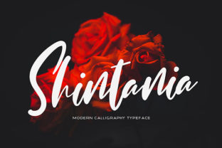 Shintania Script Handwritten Font Review